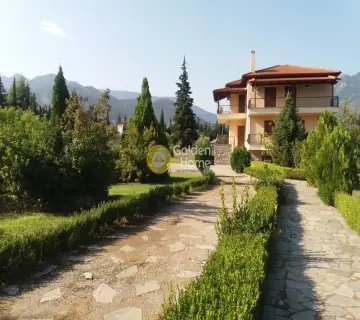 Golden Home Property Image