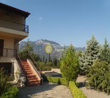 Golden Home Property Image