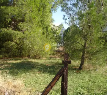 Residential 710m<sup>2</sup> for sale photo 1