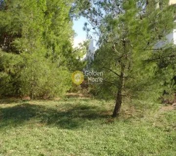 Residential 710m<sup>2</sup> for sale photo 2