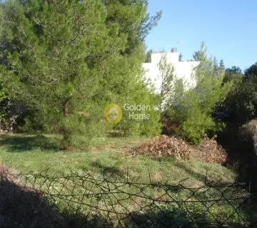 Residential 710m<sup>2</sup> for sale photo 5