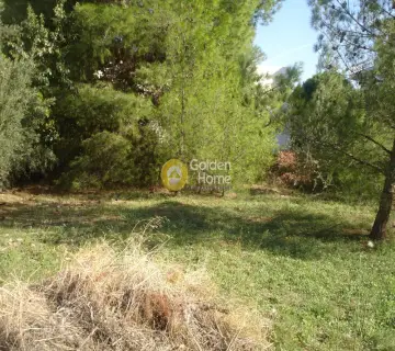 Residential 710m<sup>2</sup> for sale photo 6