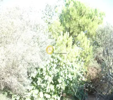 Residential 2000m<sup>2</sup> for sale photo 1