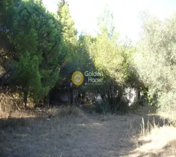 Residential 2000m<sup>2</sup> for sale photo 3