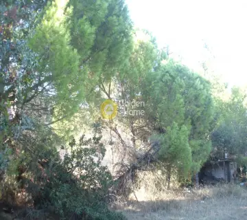 Residential 2000m<sup>2</sup> for sale photo 4