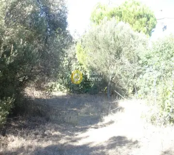 Residential 2000m<sup>2</sup> for sale photo 13
