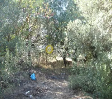 Residential 2000m<sup>2</sup> for sale photo 14