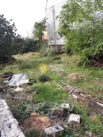 Residential 1175m<sup>2</sup> for sale photo 1395292