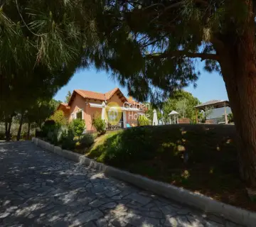 Golden Home Property Image