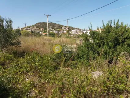 Residential 1000m<sup>2</sup> for sale photo 1339515