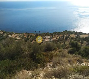 Parcel 12635m<sup>2</sup> for sale photo 14