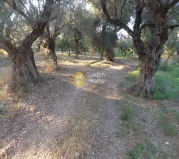 Residential 500m<sup>2</sup> for sale photo 1347103