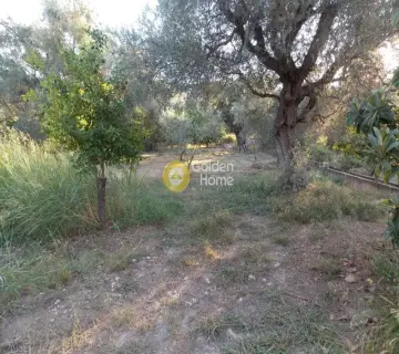 Residential 500m<sup>2</sup> for sale photo 1347104