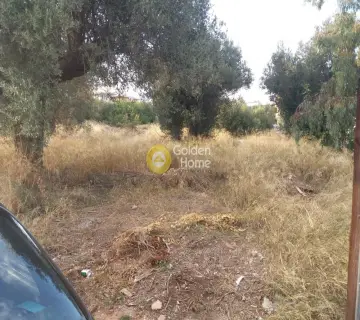 Οικιστικό 7500τ.μ. προς πώληση φωτογραφία 3