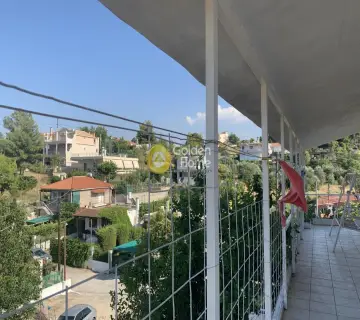Μονοκατοικία 270τ.μ. προς πώληση φωτογραφία 3