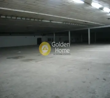 Industrial 15000m<sup>2</sup> for rent photo 9