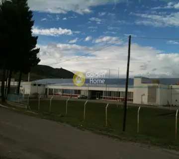 Industrial 15000m<sup>2</sup> for rent photo 8