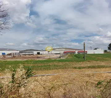 Industrial 15000m<sup>2</sup> for rent photo 4360189