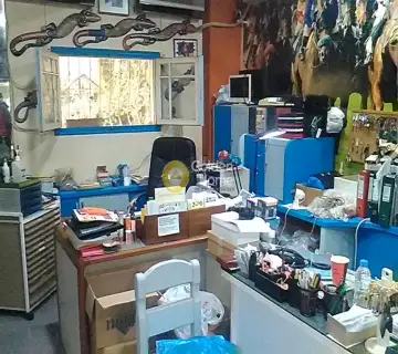 Golden Home Property Image