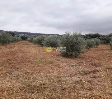 Professional Plot 37000m<sup>2</sup> for sale photo 1