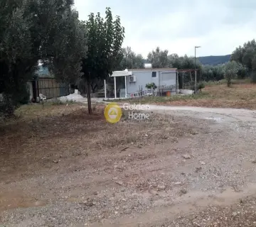 独立建筑 1400m<sup>2</sup> for sale photo 5