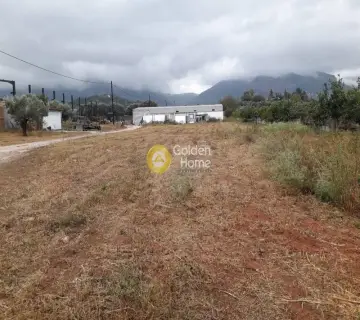 独立建筑 1400m<sup>2</sup> for sale photo 10