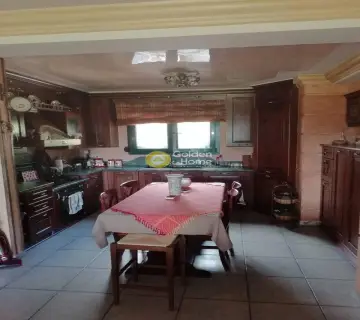 Μεζονέτα Ανεξάρτητη 410τ.μ. προς πώληση φωτογραφία 1358919