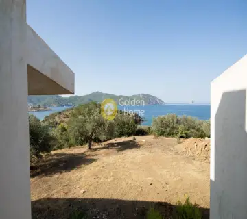 Μονοκατοικία 650τ.μ. προς πώληση φωτογραφία 1364104
