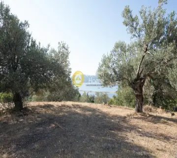 Μονοκατοικία 650τ.μ. προς πώληση φωτογραφία 1364112