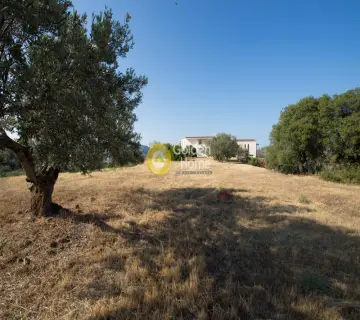 Μονοκατοικία 650τ.μ. προς πώληση φωτογραφία 1364113