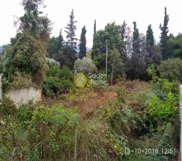 Residential 721m<sup>2</sup> for sale photo 1