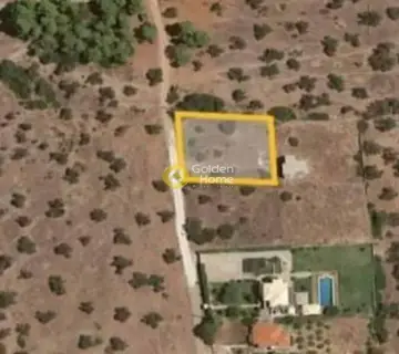 Residential 1000m<sup>2</sup> for sale photo 2