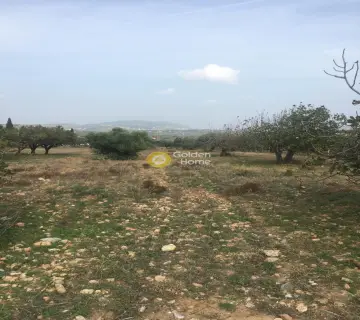 Οικιστικό 1116τ.μ. προς πώληση φωτογραφία 1380017