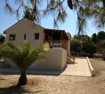 Golden Home Property Image