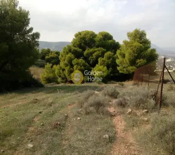 Area 2000m<sup>2</sup> for sale photo 3
