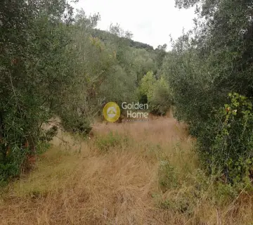 Residential 2000m<sup>2</sup> for sale photo 1393560