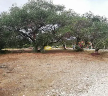Residential 2000m<sup>2</sup> for sale photo 1393561