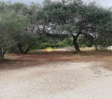 Residential 2000m<sup>2</sup> for sale photo 1393558