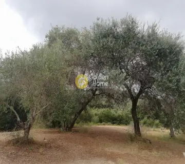 Residential 2000m<sup>2</sup> for sale photo 1393559
