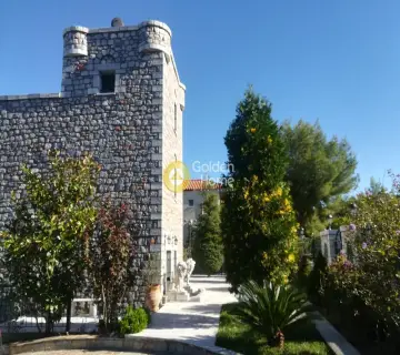 Μονοκατοικία 400τ.μ. προς πώληση φωτογραφία 1389311
