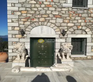 Μονοκατοικία 400τ.μ. προς πώληση φωτογραφία 1389323