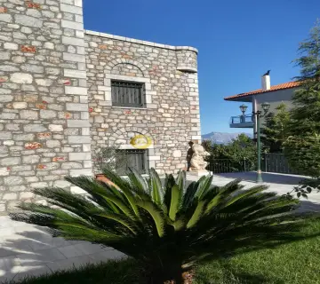 Μονοκατοικία 400τ.μ. προς πώληση φωτογραφία 1389331
