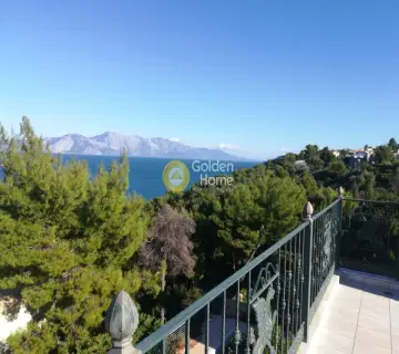 Μονοκατοικία 400τ.μ. προς πώληση φωτογραφία 1389403