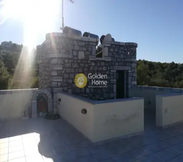 Μονοκατοικία 400τ.μ. προς πώληση φωτογραφία 1389411