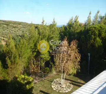 Μονοκατοικία 606τ.μ. προς πώληση φωτογραφία 46