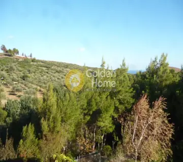 Μονοκατοικία 606τ.μ. προς πώληση φωτογραφία 20