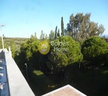 Μονοκατοικία 606τ.μ. προς πώληση φωτογραφία 47