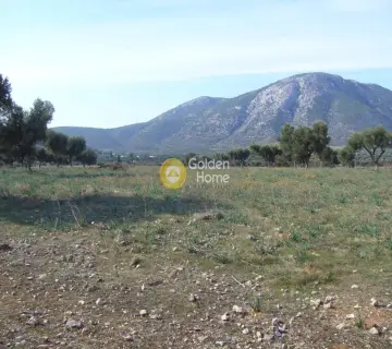 Area 120000m<sup>2</sup> for sale photo 5