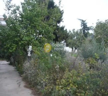 Residential 2800m<sup>2</sup> for sale photo 4