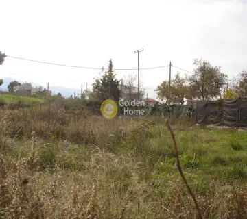 Residential 650m<sup>2</sup> for sale photo 1397154